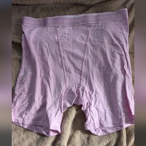 🌙 Victoria's Secret Light Pink Panty Bloomers